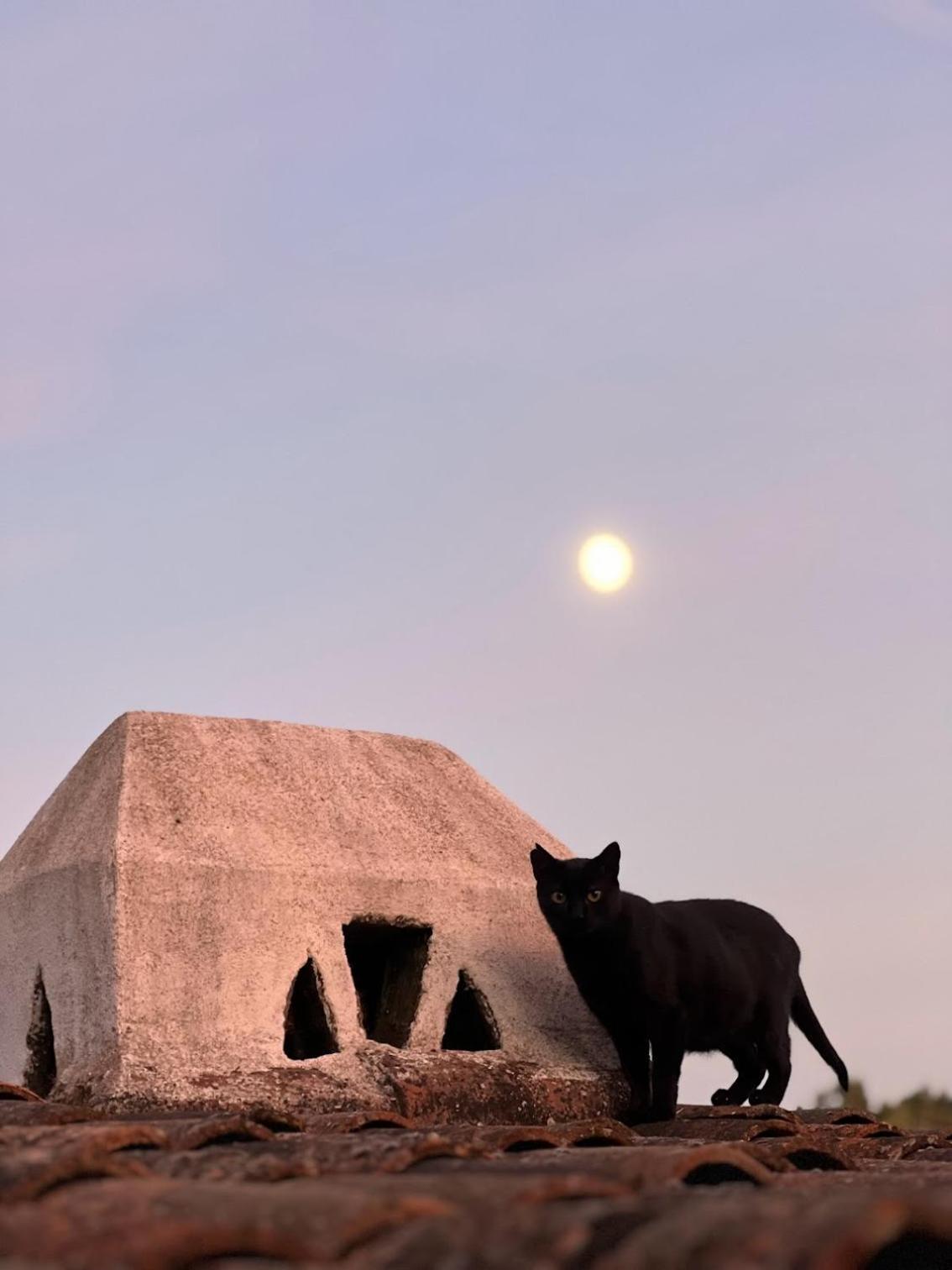 فيلا Casa Dos Galegos Marvão المظهر الخارجي الصورة